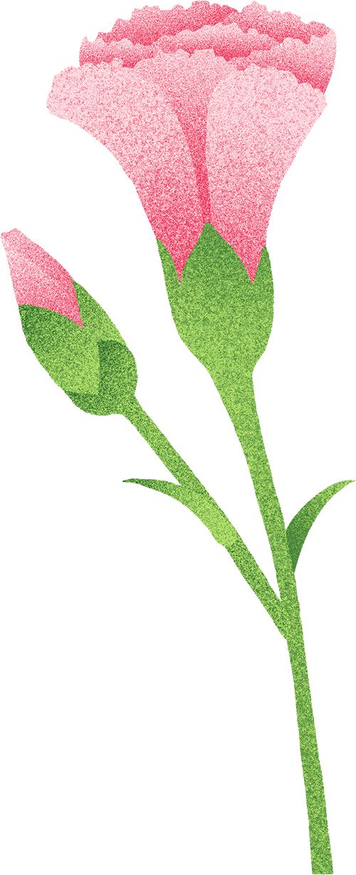 区开展母亲节系列文明实践主题活动pg电子中文模拟器长春净月高新