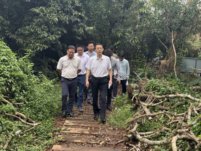 示:抓紧清理台风倒树谋划红树林旅游!pg电子模拟器免费版湛江市领导最新指(图2) 示:抓紧清理台风倒树谋划红树林旅游!pg电子模拟器免费版湛江市领导最新指(图2)