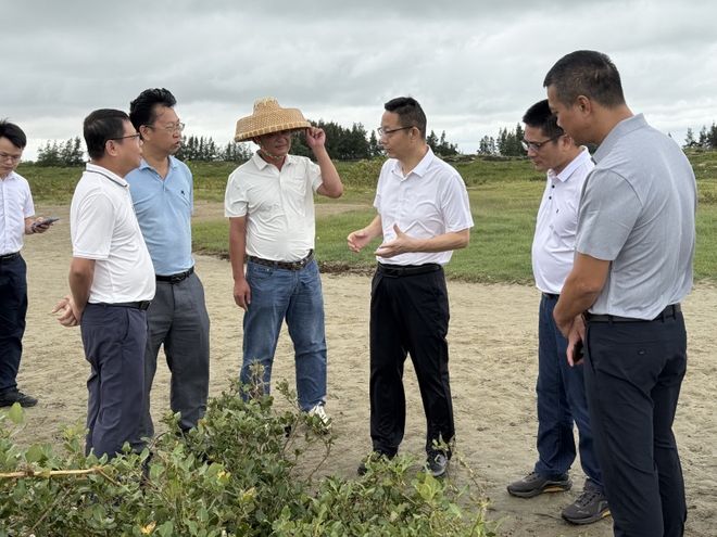 示：抓紧清理台风倒树谋划红树林旅游！pg